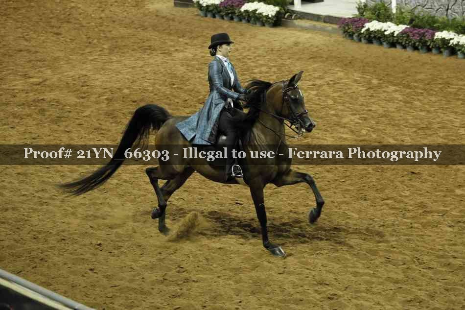 Proof 21YN_66303