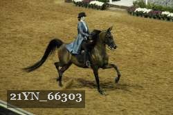 21YN_66303 proof