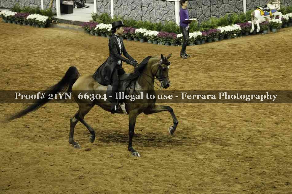 Proof 21YN_66304