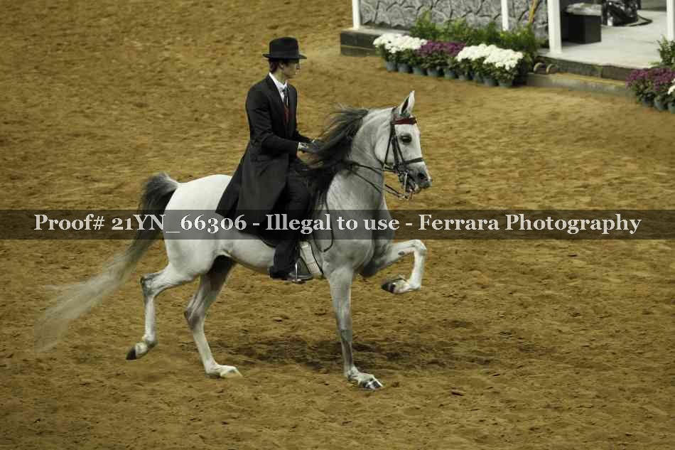 Proof 21YN_66306