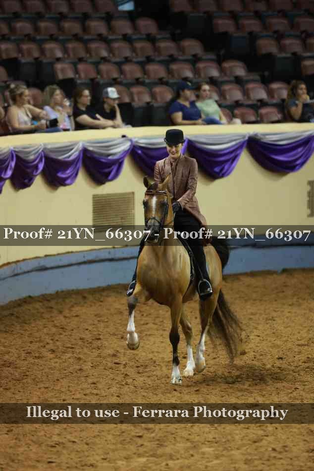 Proof 21YN_66307