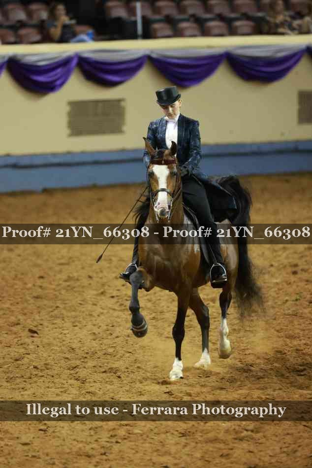 Proof 21YN_66308