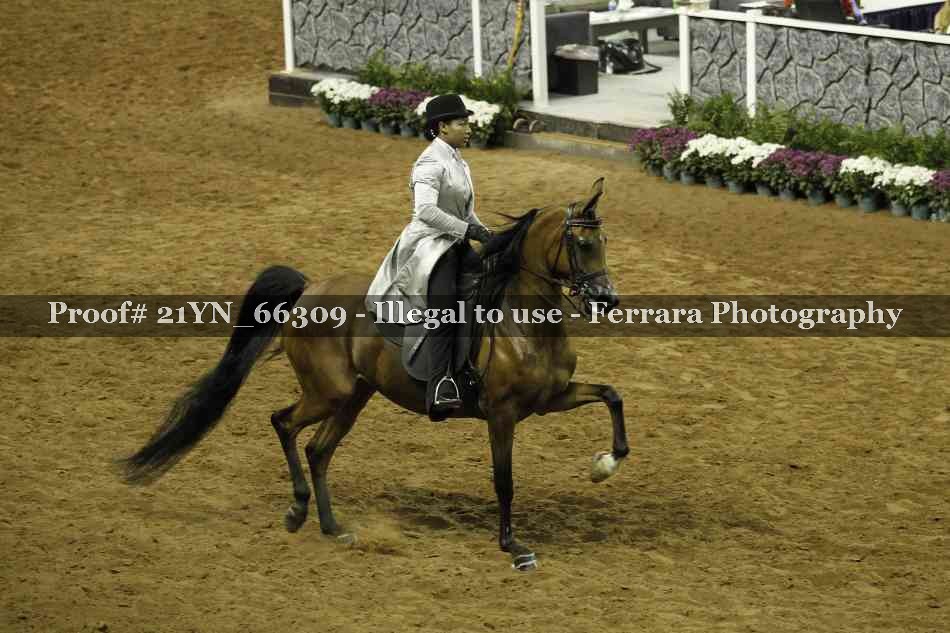 Proof 21YN_66309