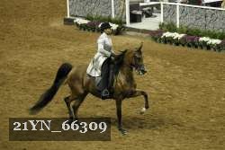21YN_66309 proof
