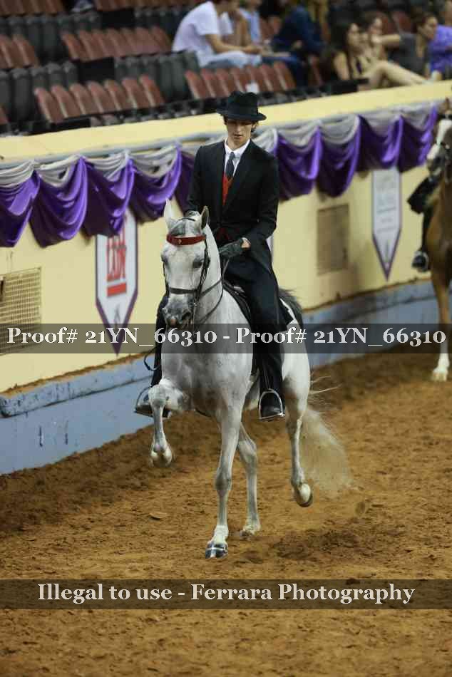 Proof 21YN_66310