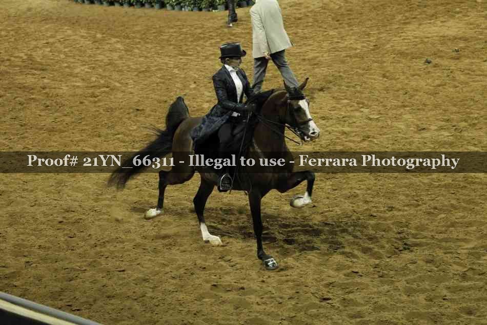 Proof 21YN_66311