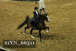 21YN_66311 proof