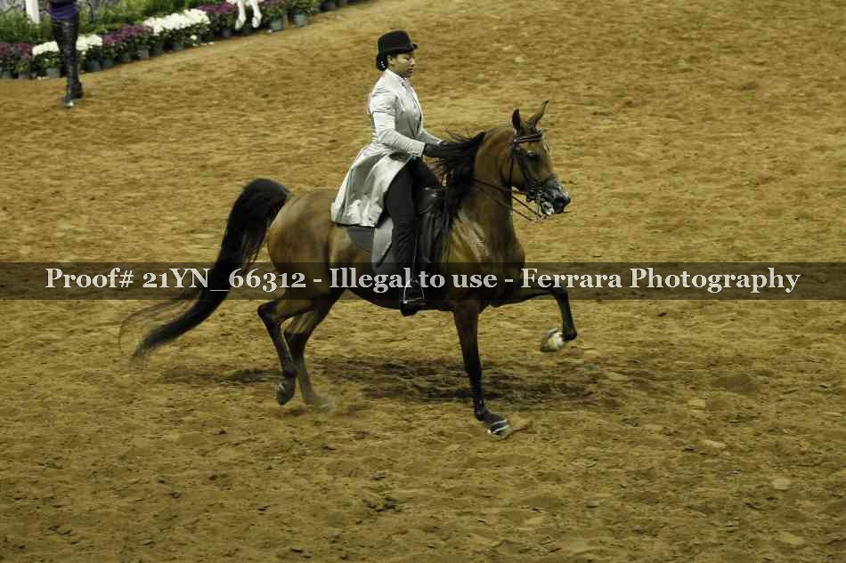 Proof 21YN_66312