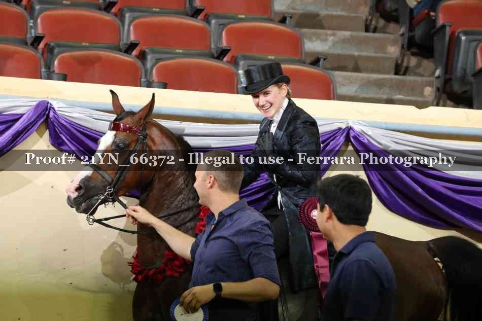 Proof 21YN_66372