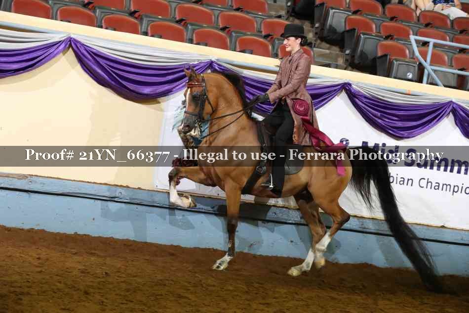 Proof 21YN_66377