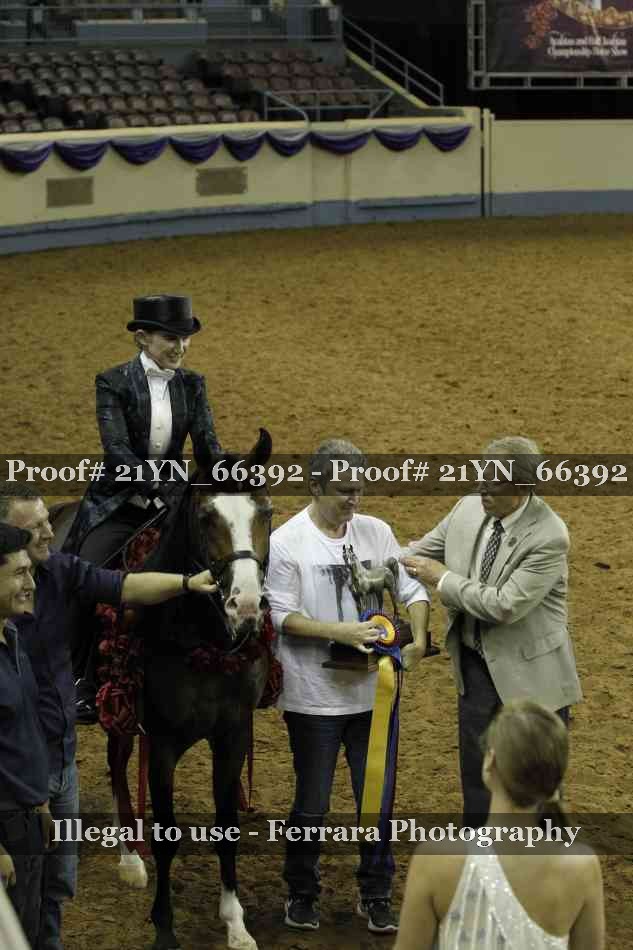 Proof 21YN_66392