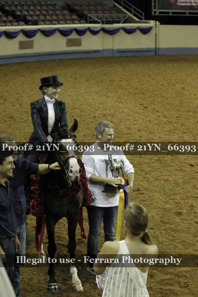 Proof 21YN_66393