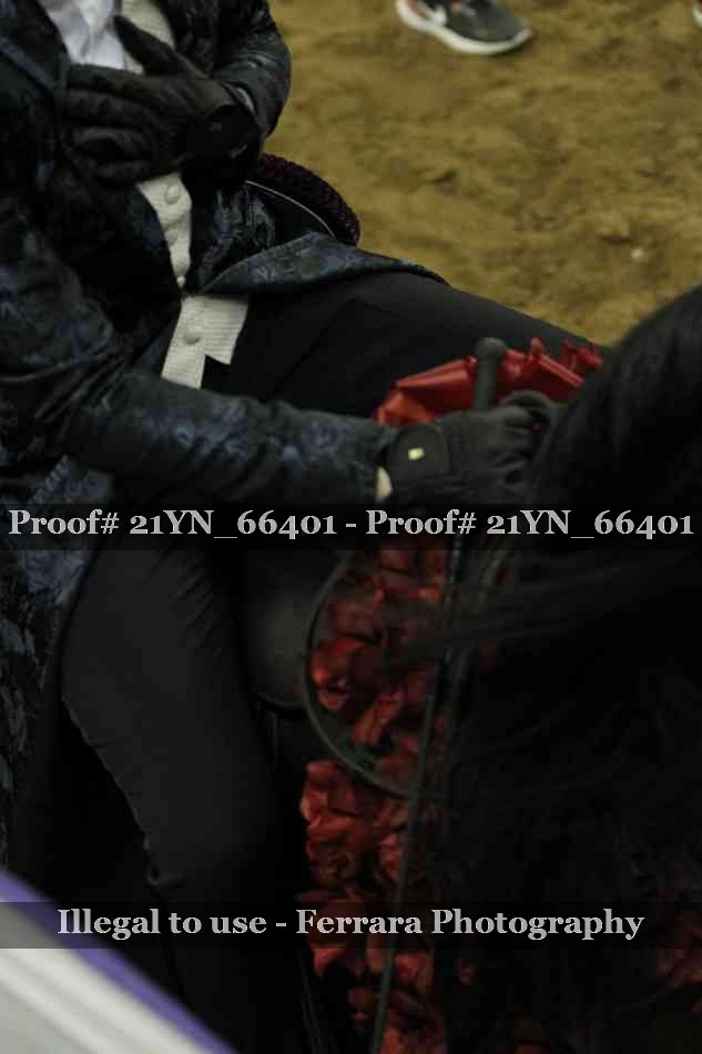 Proof 21YN_66401