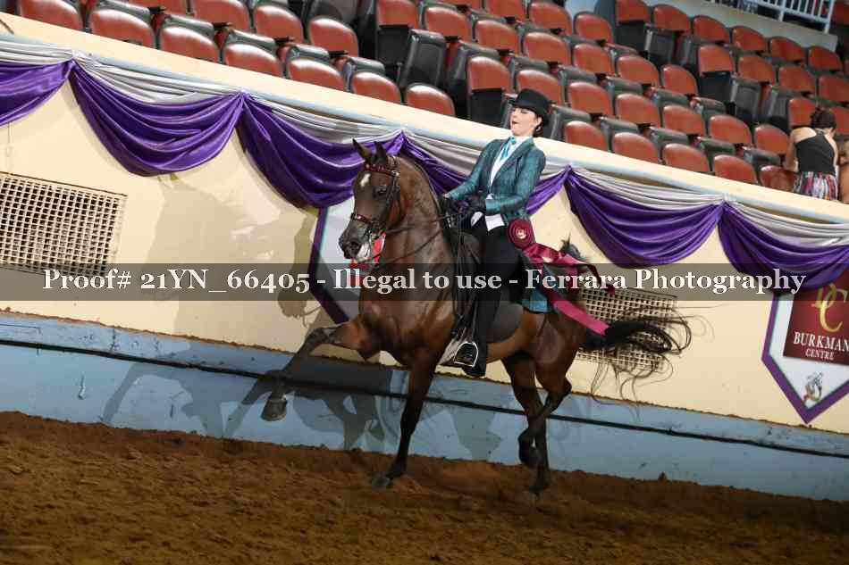 Proof 21YN_66405