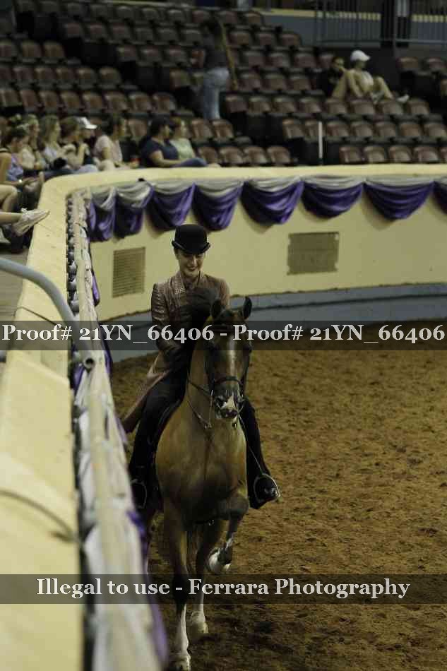 Proof 21YN_66406