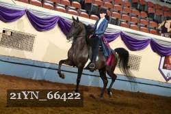 21YN_66422 proof