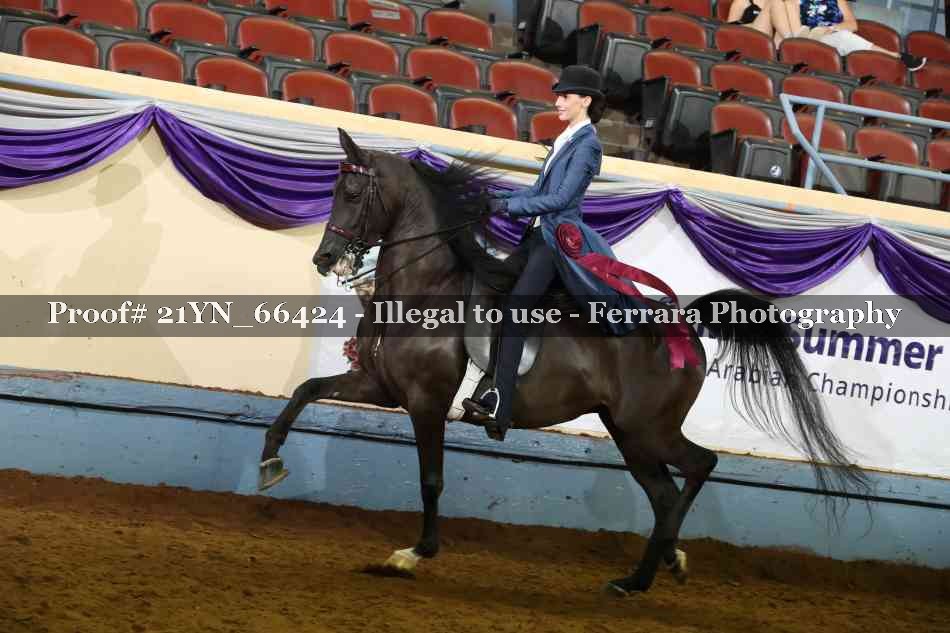 Proof 21YN_66424