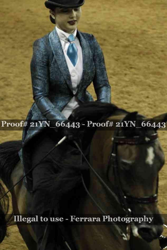 Proof 21YN_66443