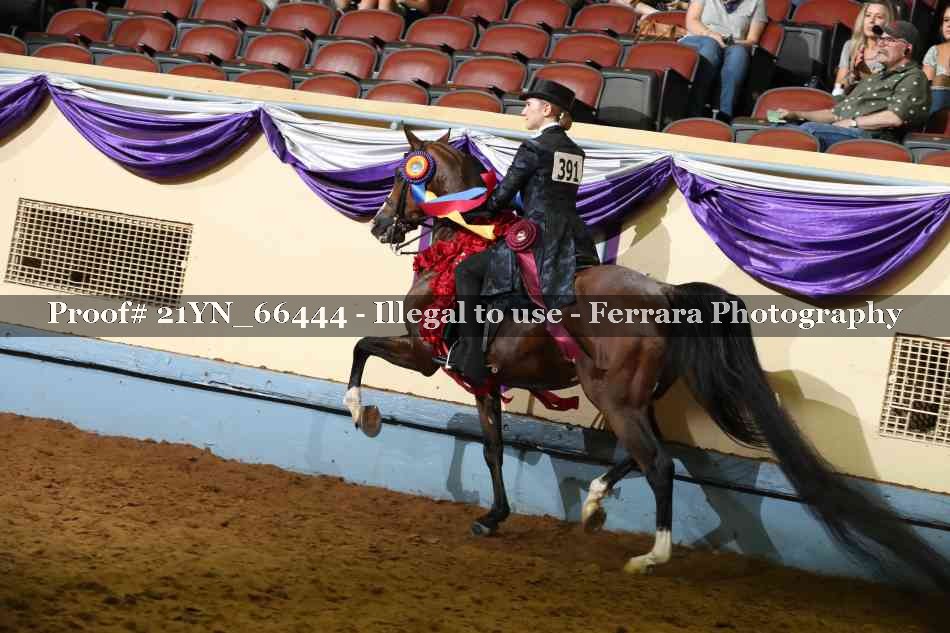Proof 21YN_66444