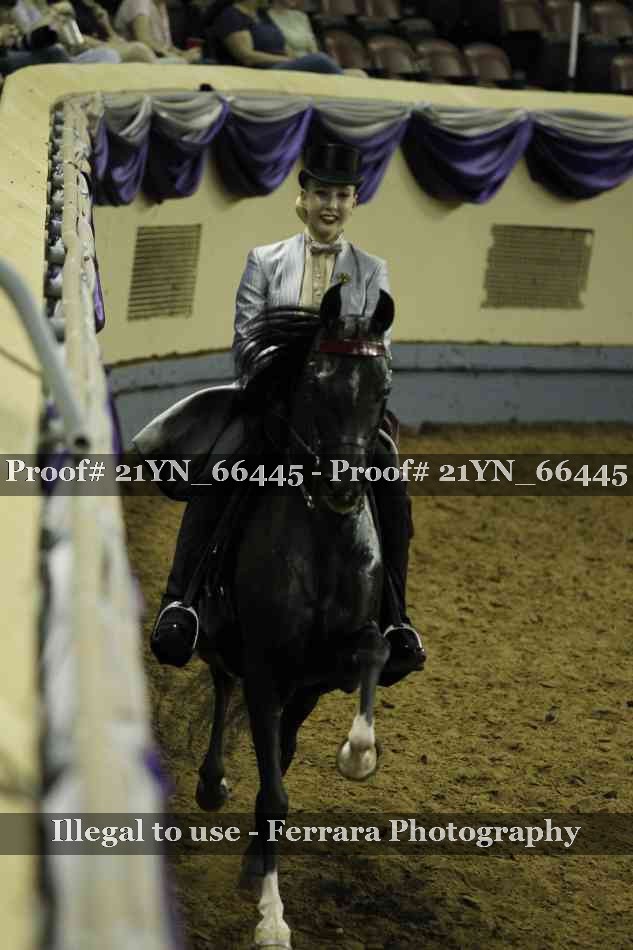 Proof 21YN_66445
