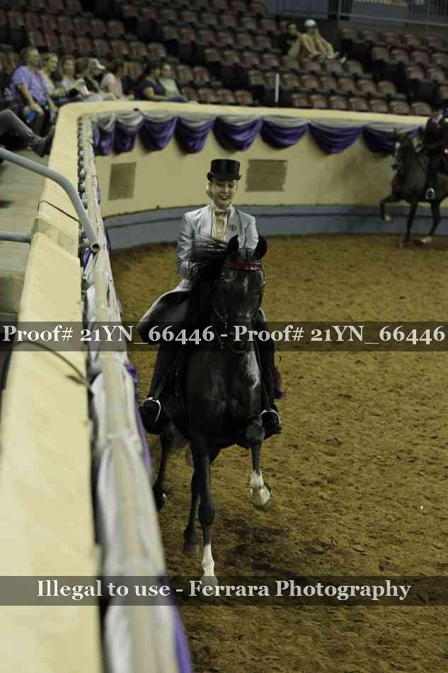 Proof 21YN_66446