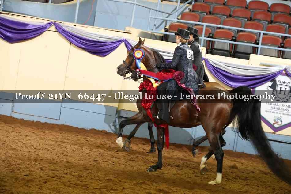 Proof 21YN_66447