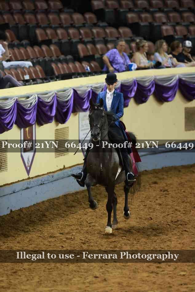 Proof 21YN_66449