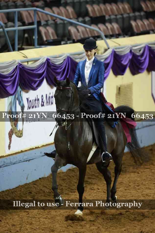 Proof 21YN_66453
