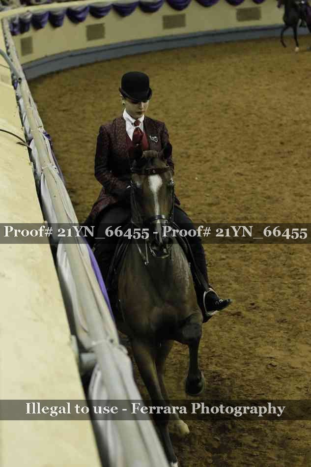 Proof 21YN_66455