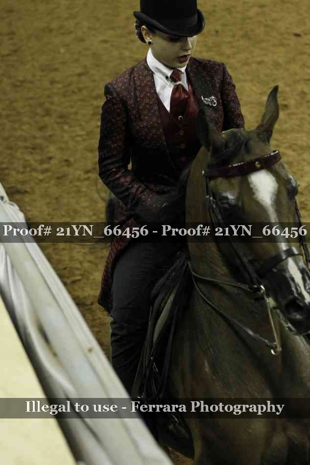 Proof 21YN_66456