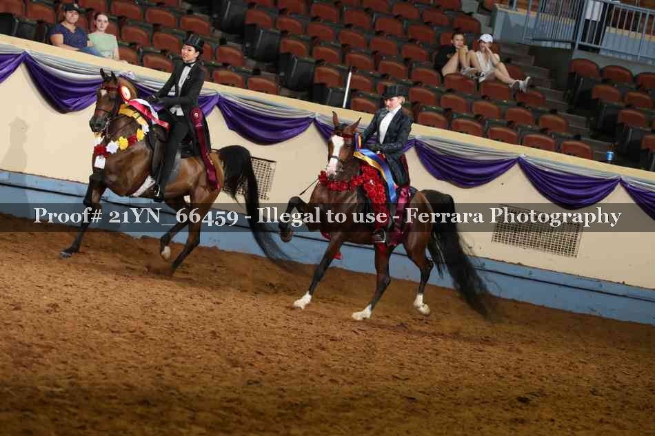 Proof 21YN_66459