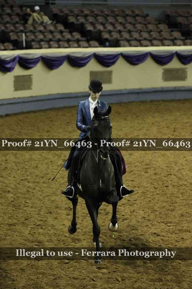 Proof 21YN_66463
