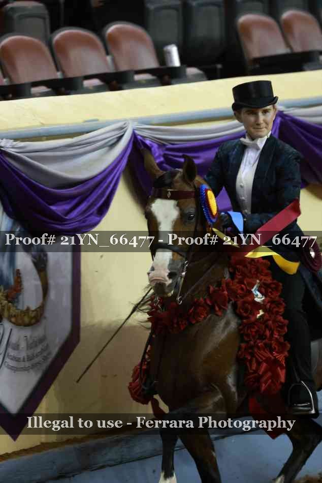 Proof 21YN_66477