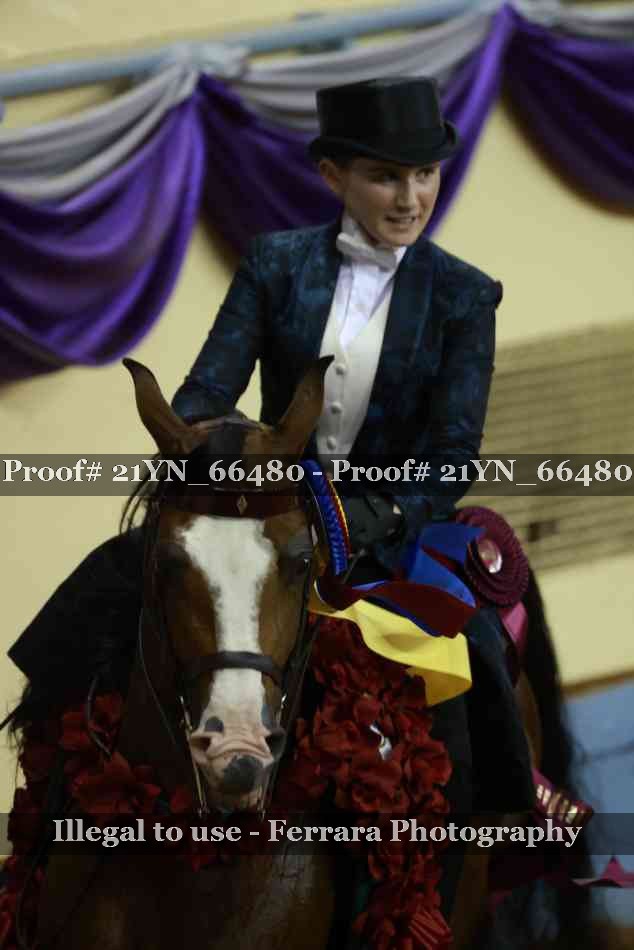 Proof 21YN_66480