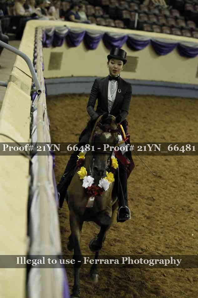 Proof 21YN_66481