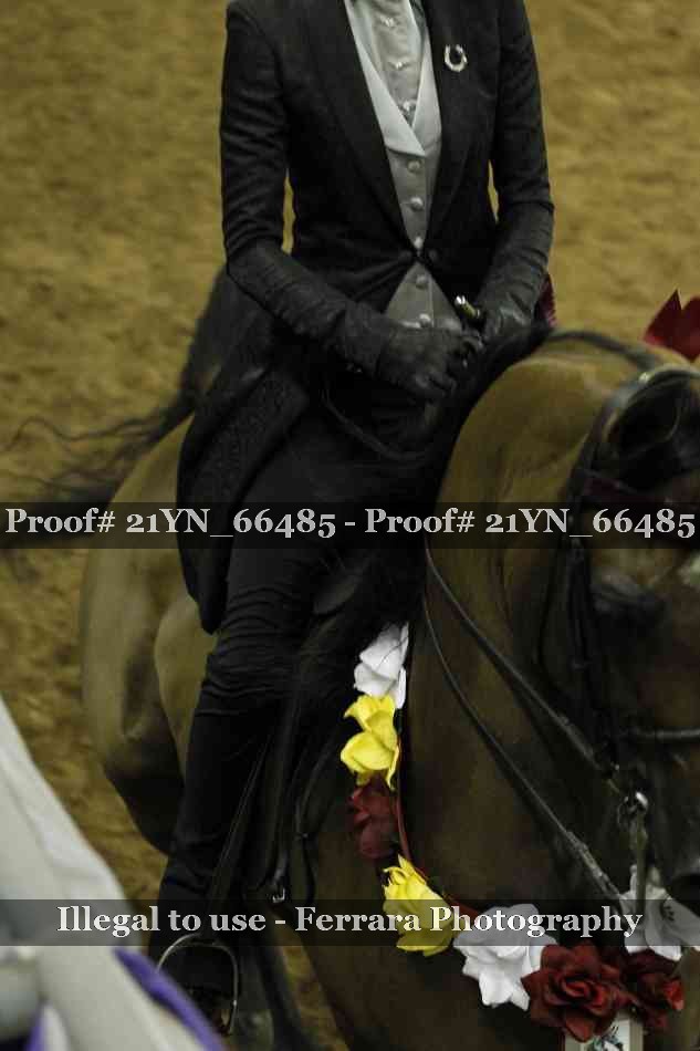 Proof 21YN_66485