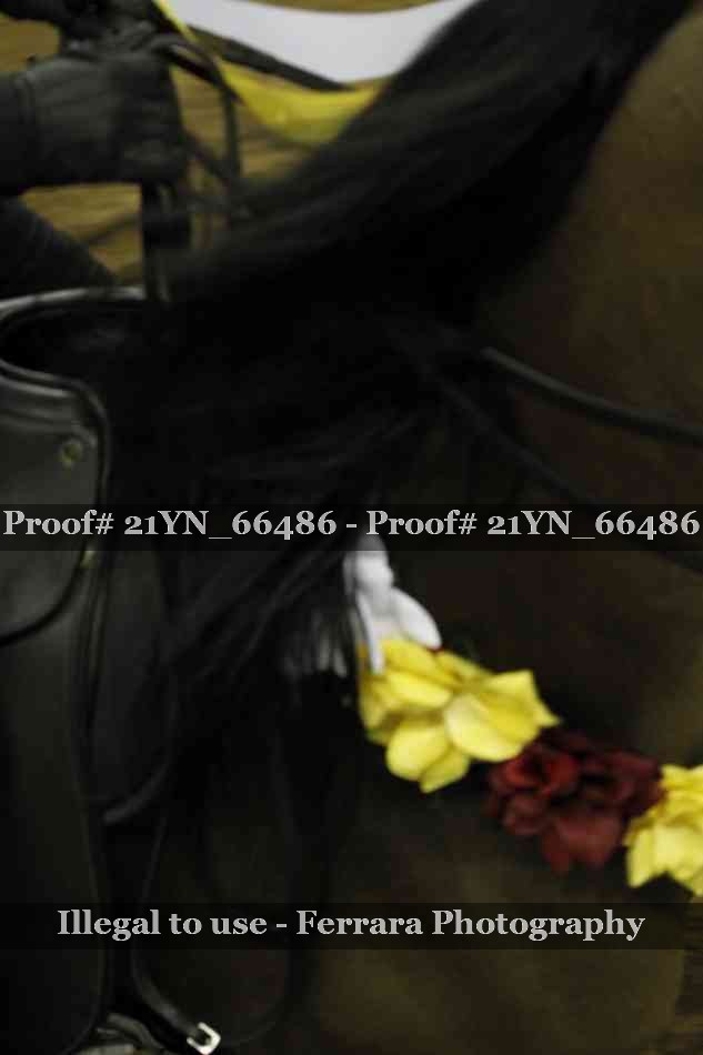 Proof 21YN_66486