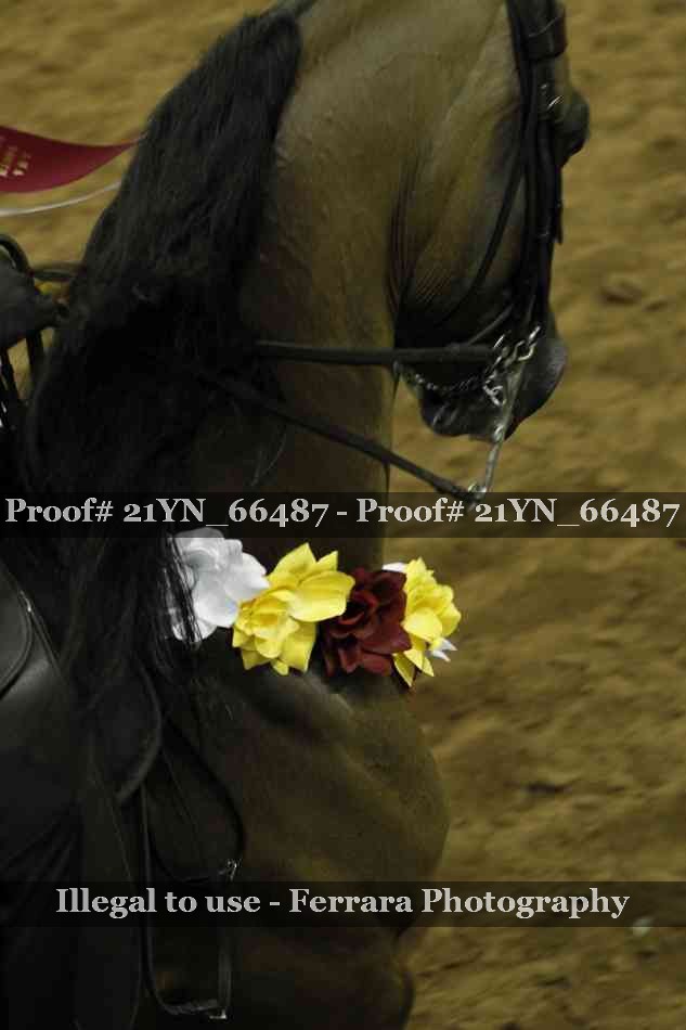 Proof 21YN_66487