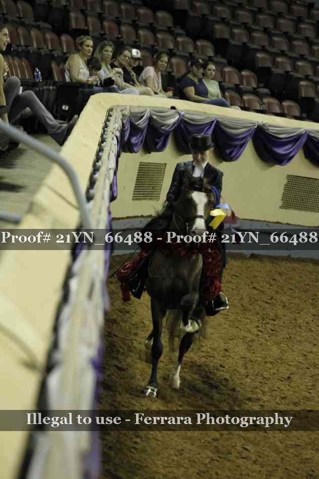 Proof 21YN_66488