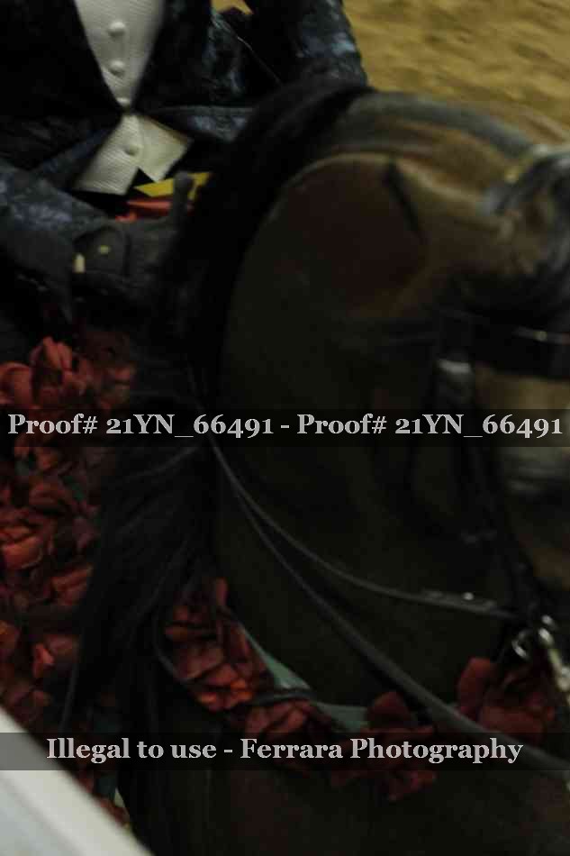 Proof 21YN_66491
