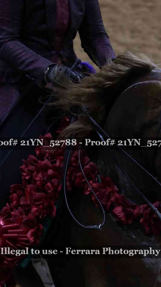 Proof 21YN_52788