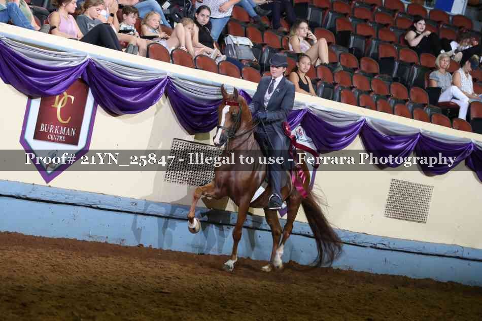 Proof 21YN_25847