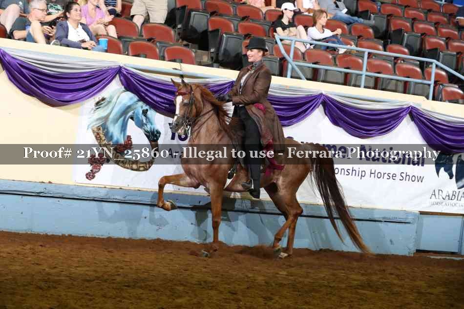 Proof 21YN_25860