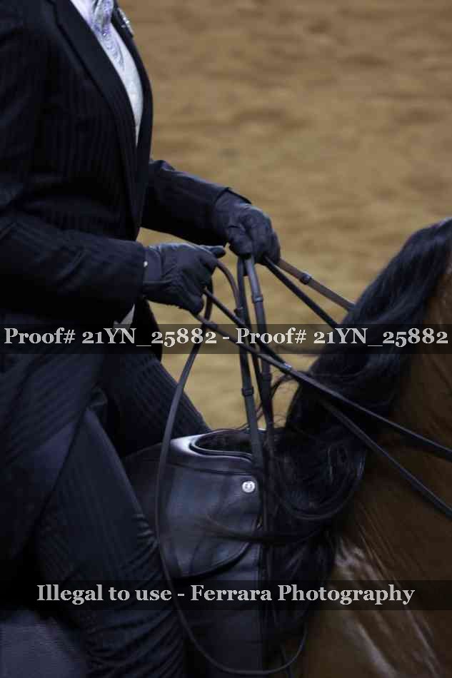 Proof 21YN_25882
