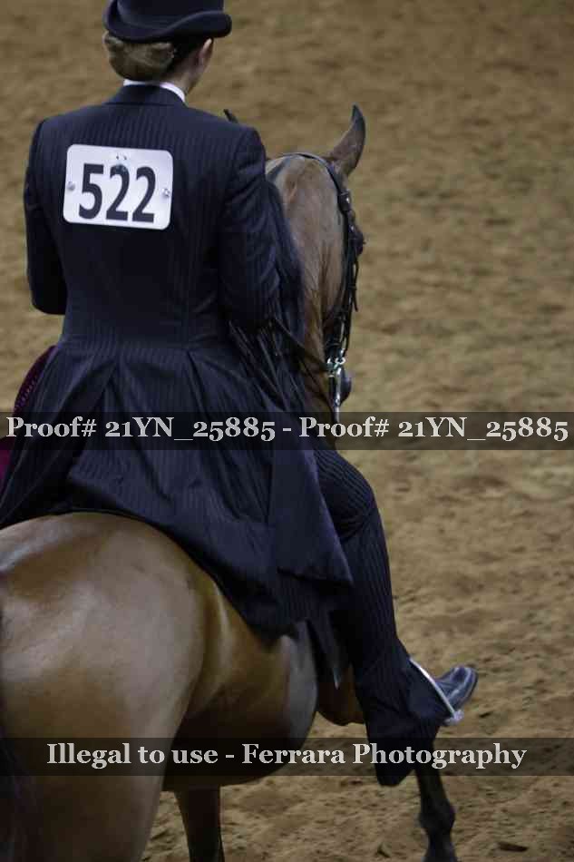 Proof 21YN_25885
