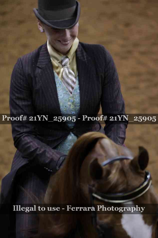 Proof 21YN_25905