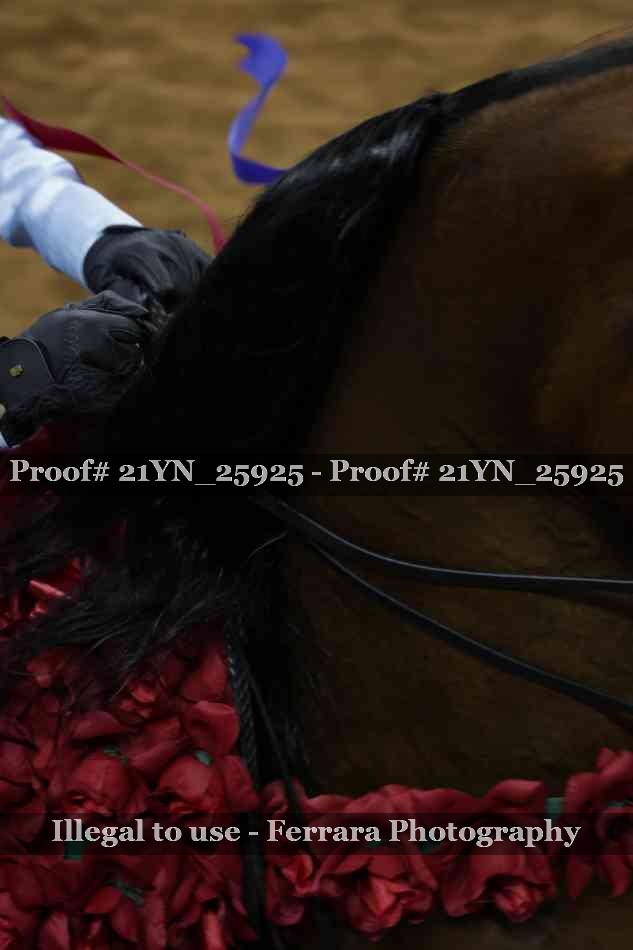 Proof 21YN_25925