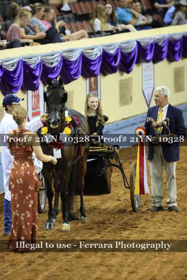 Proof 21YN_10328