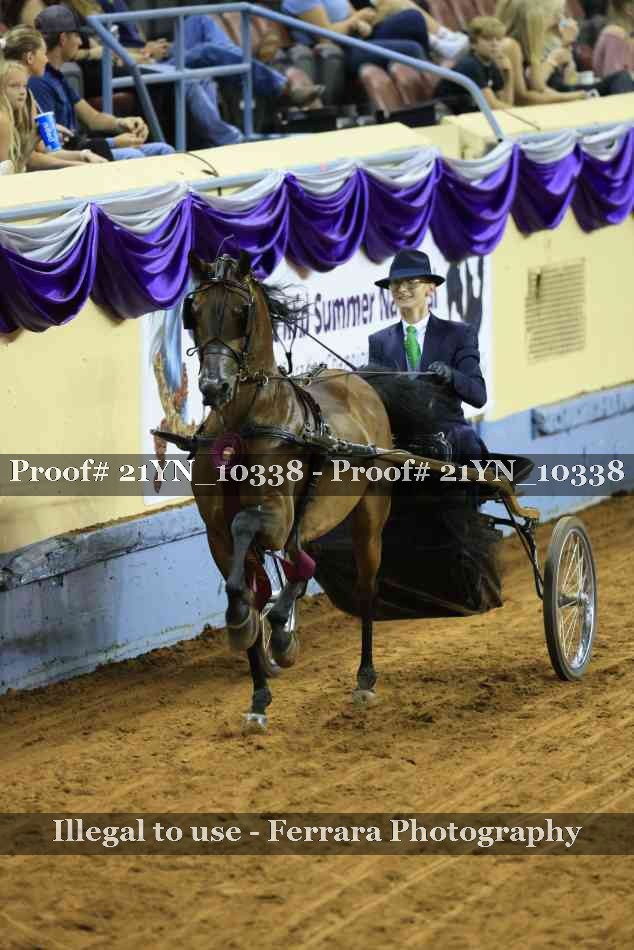 Proof 21YN_10338
