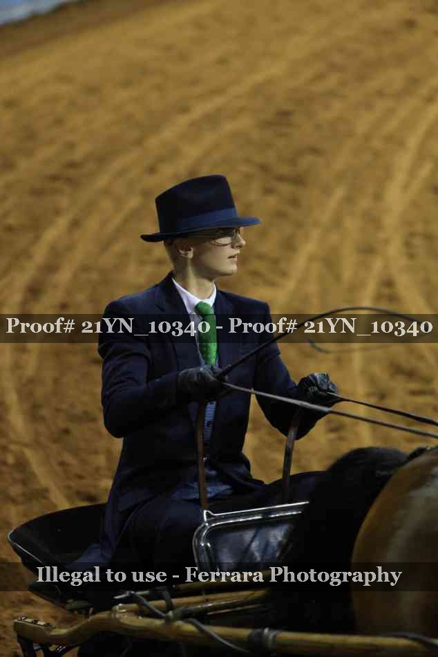 Proof 21YN_10340